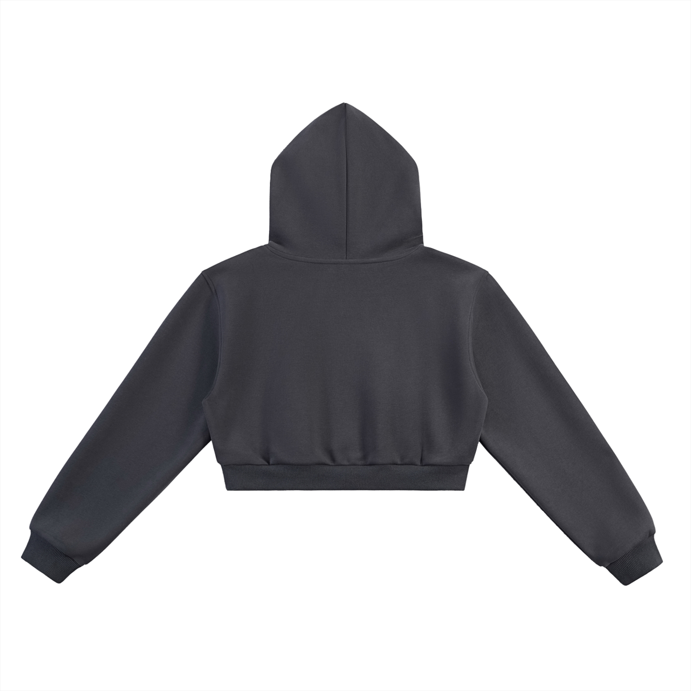 G̶o̶o̶d̶ Bad Boy Cropped Hoodie